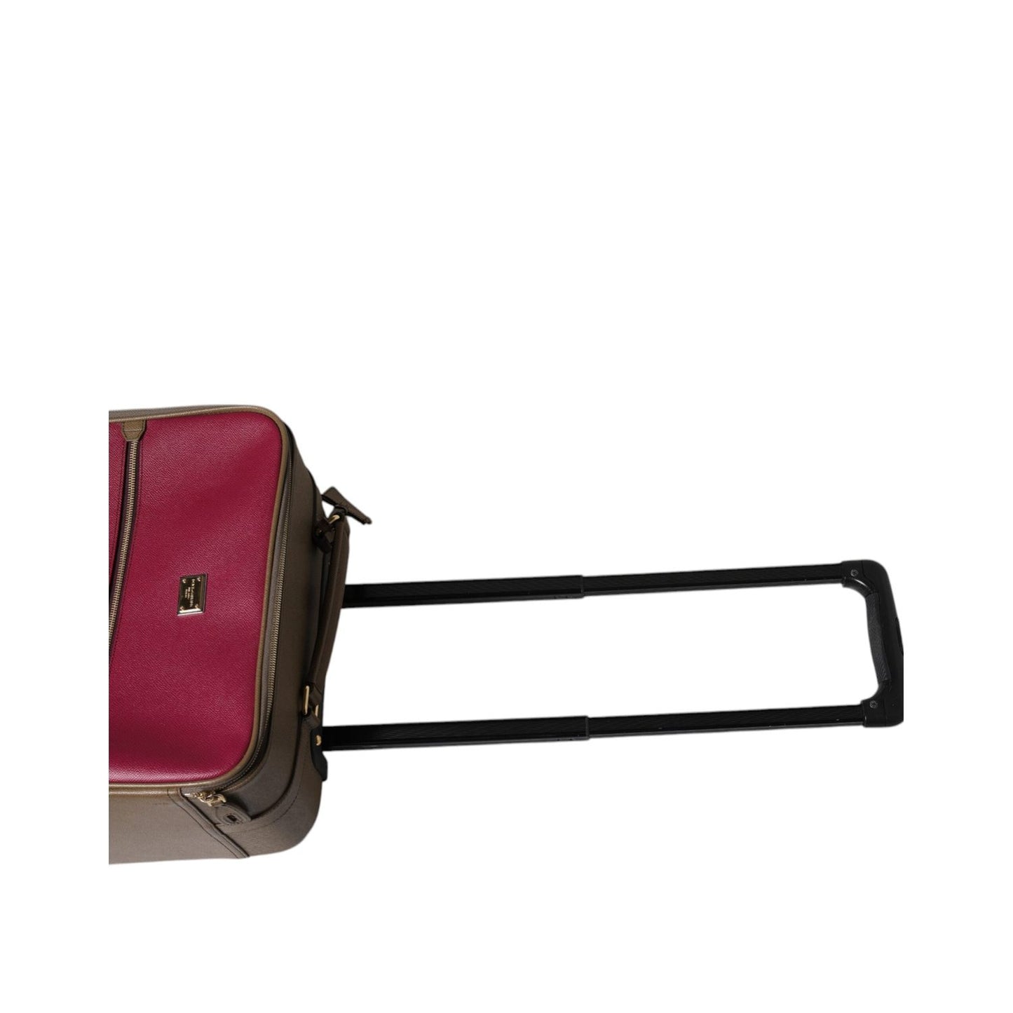 Dolce & Gabbana Fuchsia Khaki Leather Trolley Travel Wheel Suitcase Bag