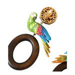 Dolce & Gabbana Multicolor Parrot Wood Brass Crystal Embellished Earrings SMY101253