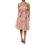 Dolce & Gabbana Pink Silk Chiffon A-line Pleated Midi Dress DR81480-42