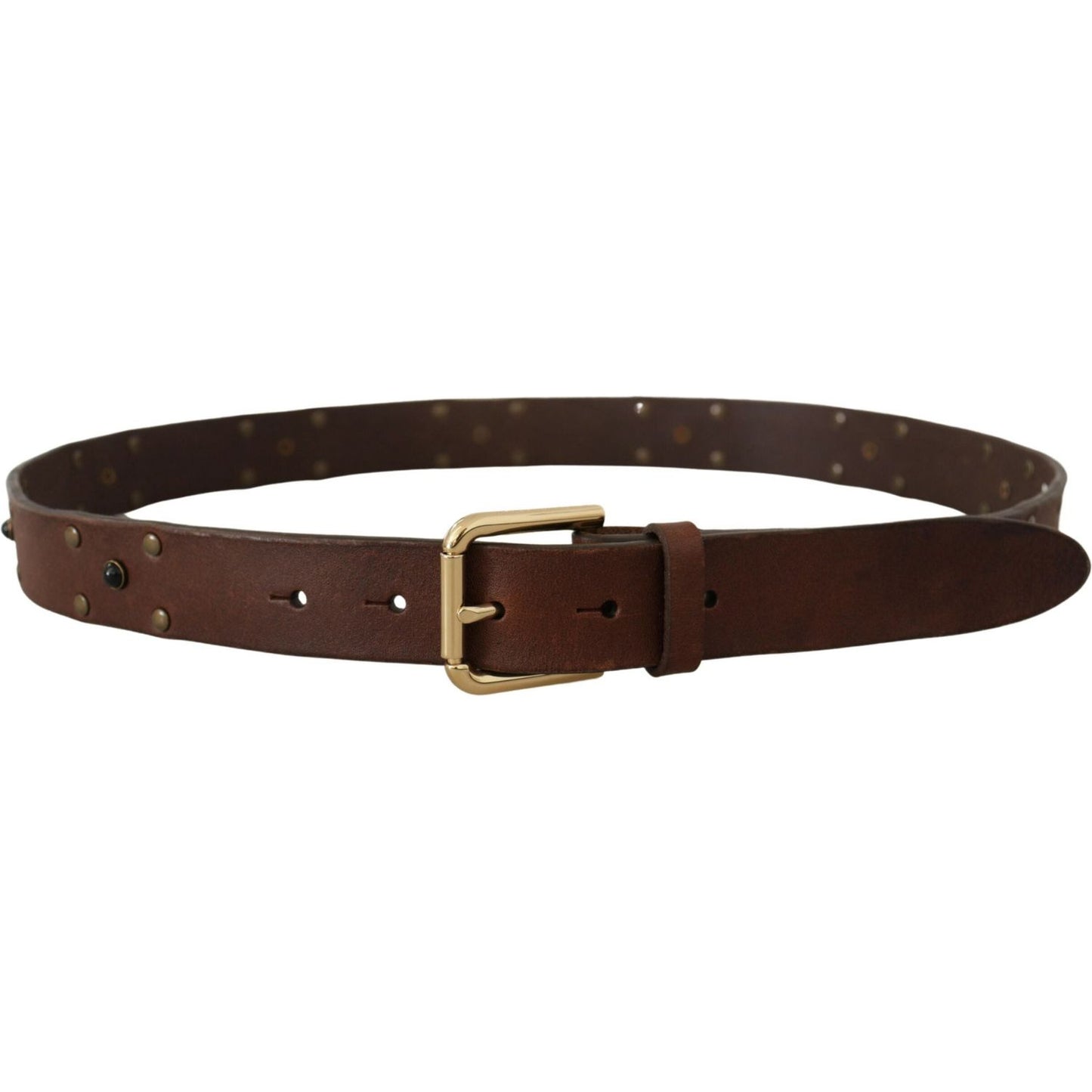 Dolce & Gabbana Brown Leather Studded Gold Tone Metal Buckle Belt