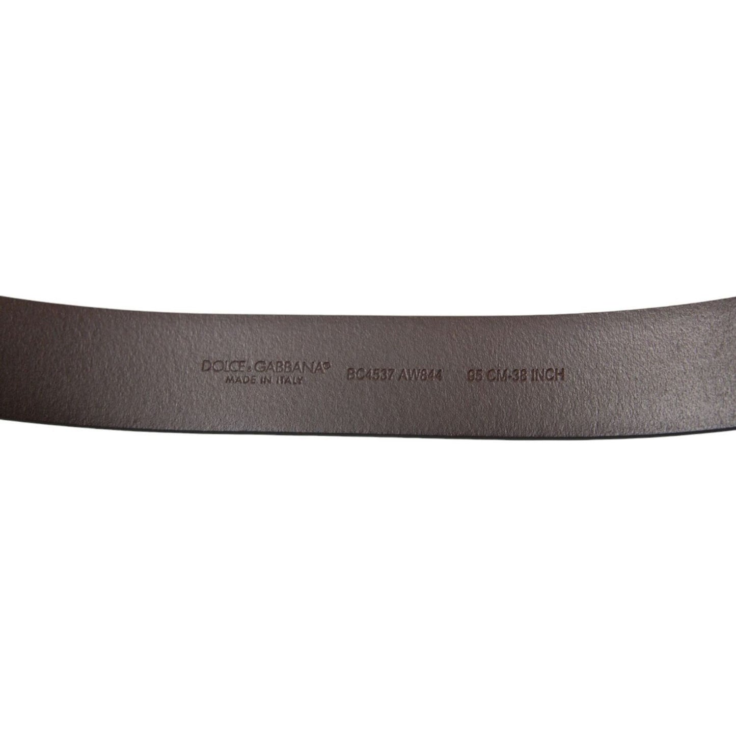 Dolce & Gabbana Brown Calf Leather Gold Metal Buckle Belt