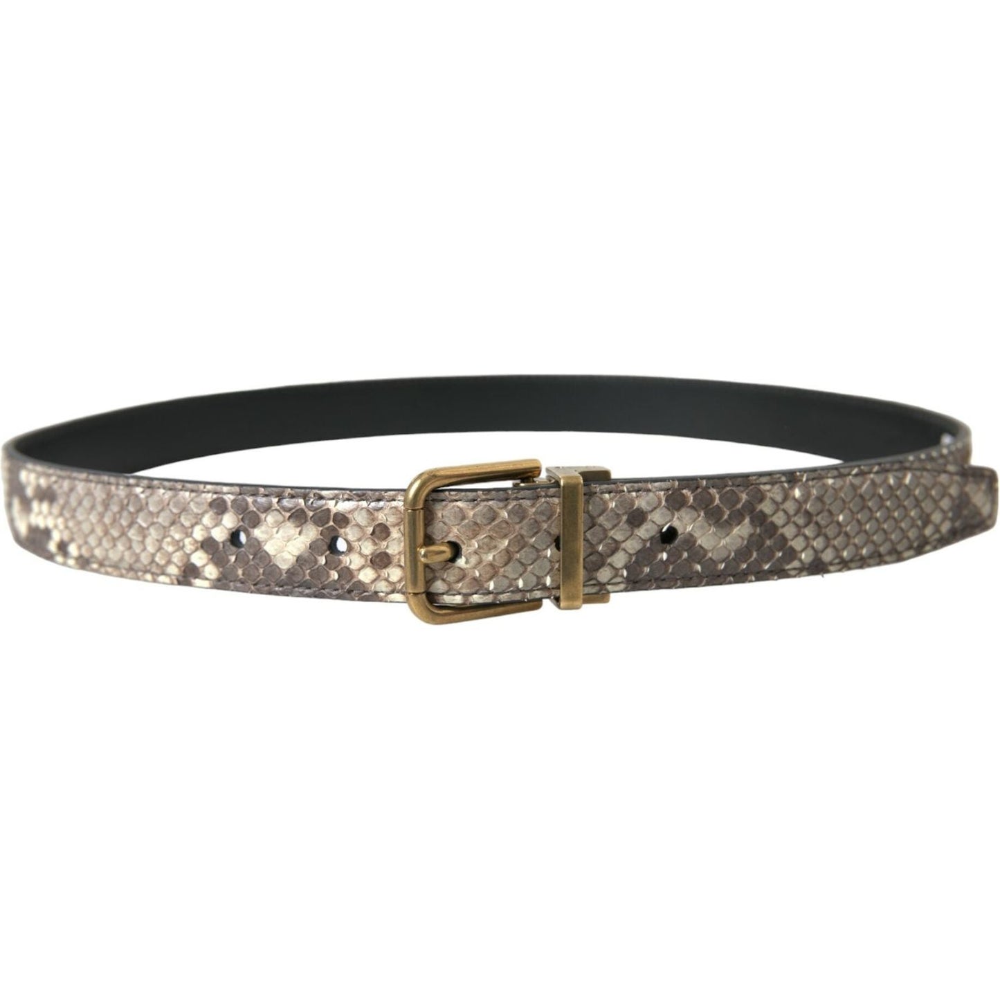 Dolce & Gabbana Brown Python Leather Gold Metal Buckle Belt