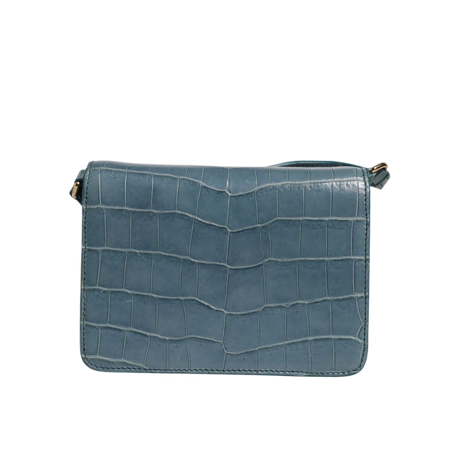 Dolce & Gabbana Green Exotic Leather DG Plaque Crossbody Mini Bag