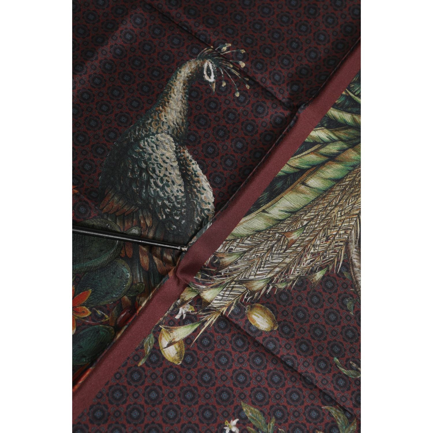 Dolce & Gabbana Brown Peacock Print Square Men Foulard Scarf
