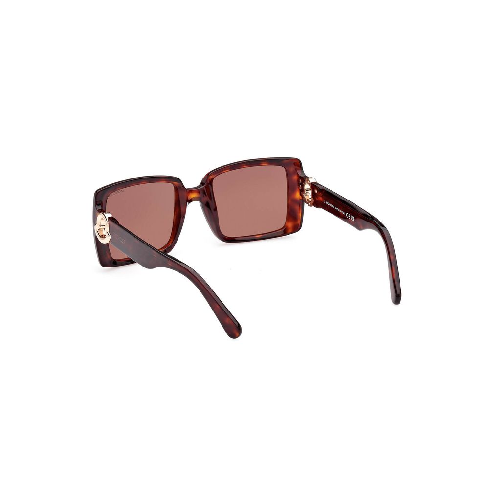 Moncler Brown Pantograph Sunglass