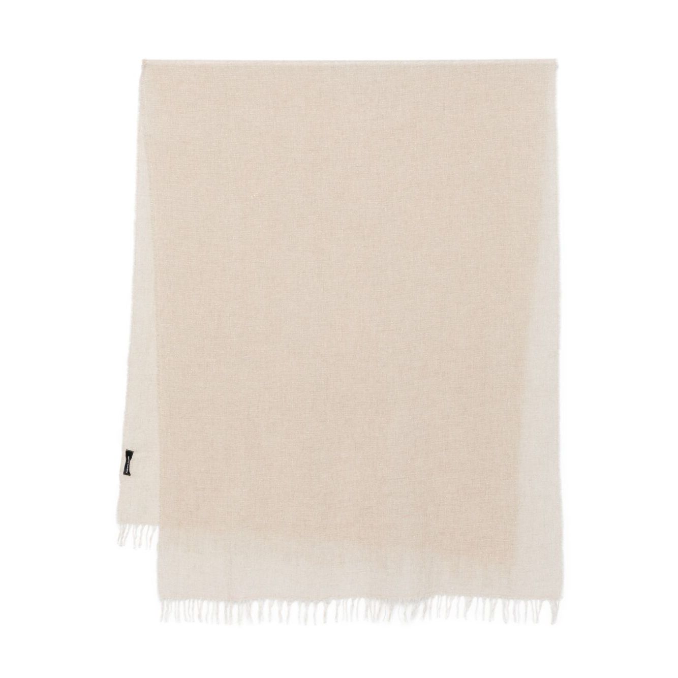 Fabiana Filippi Cashmere and silk scarf