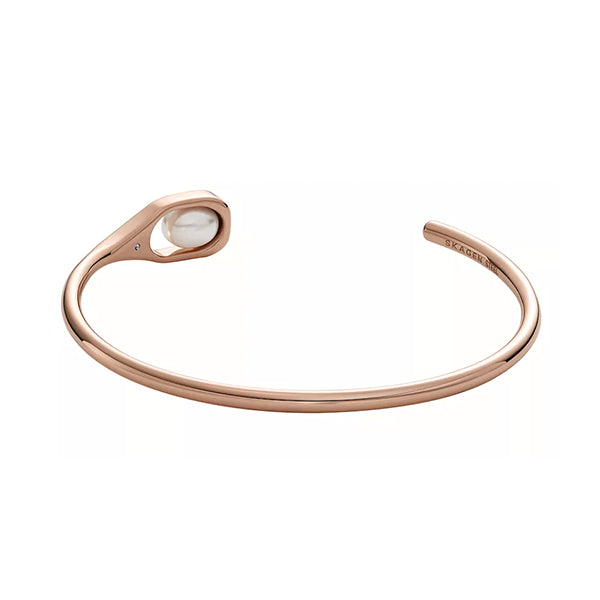 SKAGEN DENMARK JEWELS JEWELRY Mod. SKJ1748791