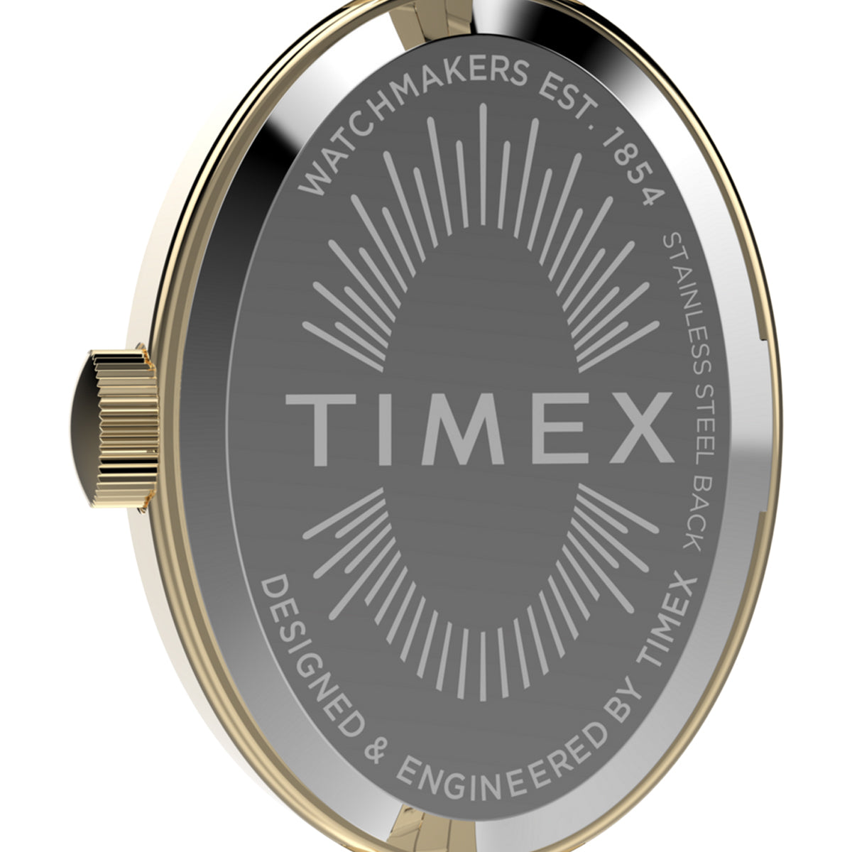Back view of TIMEX WATCHES Mod. TW2Y26700 showing stainless steel and design details.